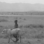 Ikke blot mennesker sulter under tørken i Tanzania