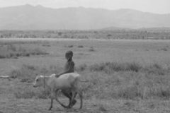 Ikke-blot-mennesker-sulter-under-tørken-i-Tanzania